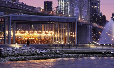 Human bones found near carousel in waterfront park in Brooklyn