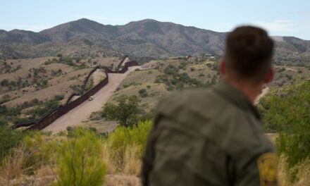 Border arrests are expected to rise slightly in August, hinting 5-month drop may have bottomed out