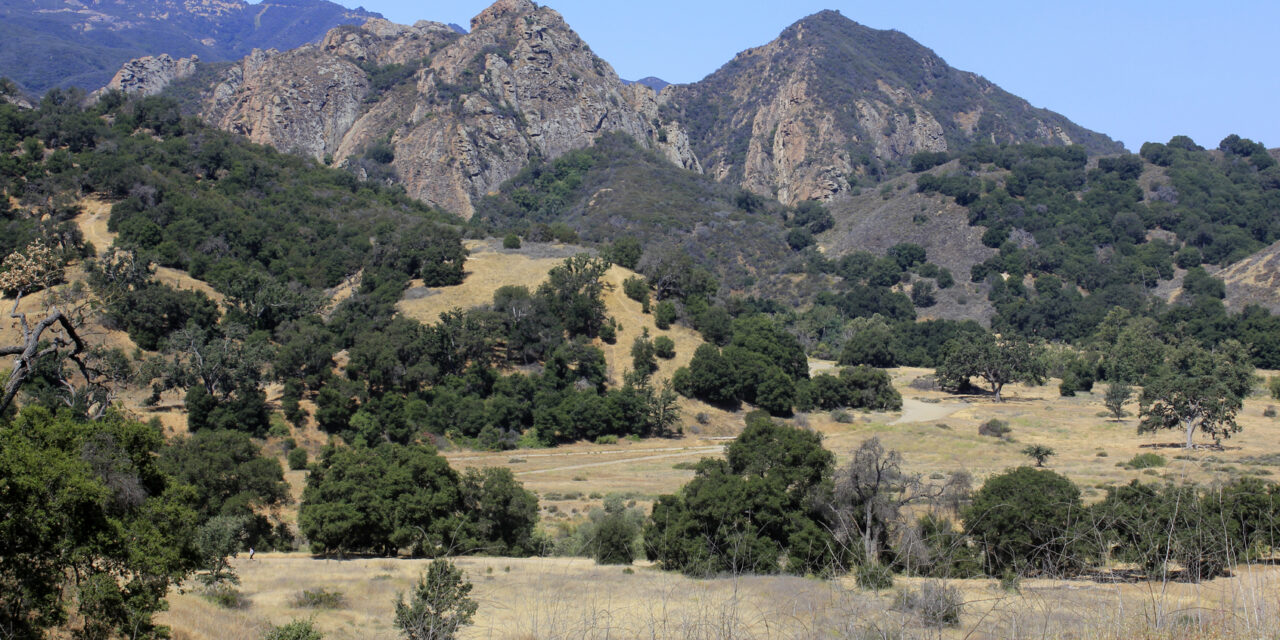 Mountain lion attacks 5-year-old at Southern California park and is euthanized