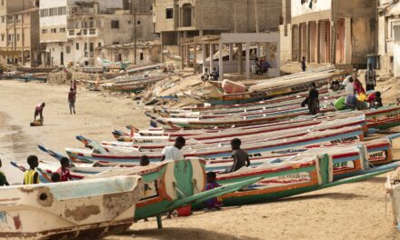 Captain of migrant boat tragedy in Senegal turns himself in as death toll rises to 26