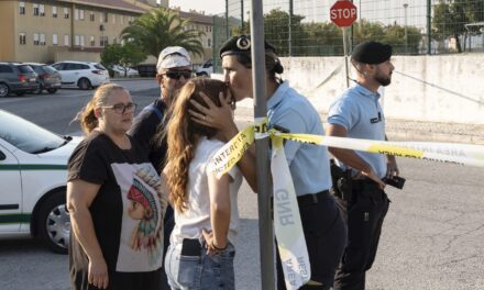 12-year-old boy stabs and injures six children at a school in Portugal