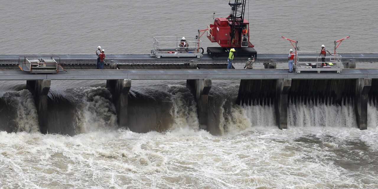 Judge dismisses lawsuit seeking to protect dolphins along the Mississippi Gulf Coast