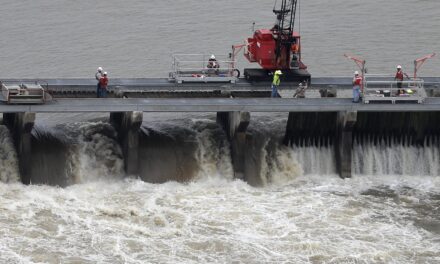 Judge dismisses lawsuit seeking to protect dolphins along the Mississippi Gulf Coast