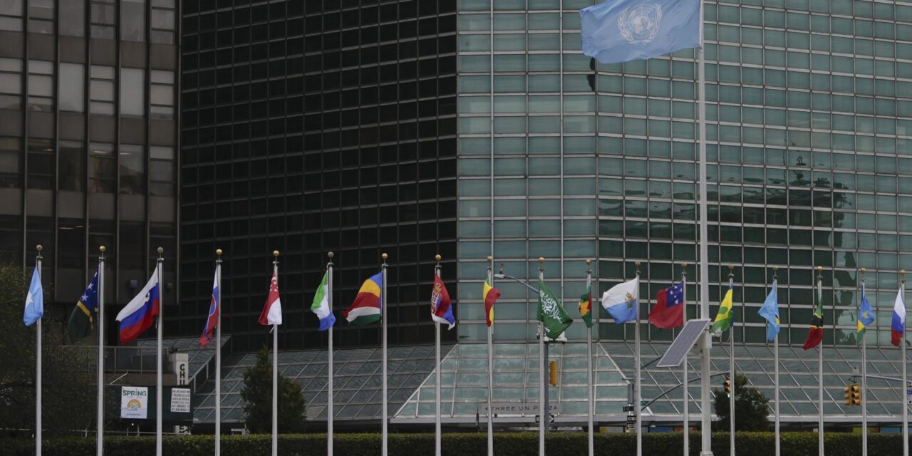 The new top youth official at the UN talks about what’s in it for young people