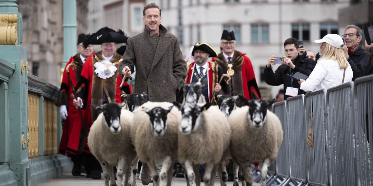 Damian Lewis herds sheep over a London bridge as part of a quirky tradition