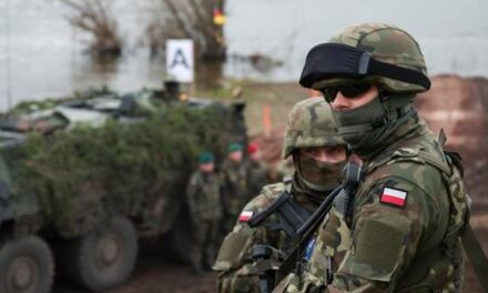 Polish armed forces chief says country needs to boost its army