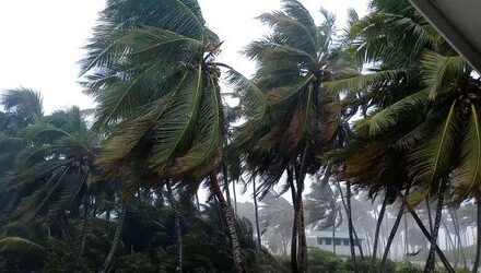 Tropical Storm Nadine sweeps across Belize, dumps rains on Mexico’s Yucatan