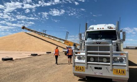 Flour millers face supply crunch as wheat farmers tighten grip on stocks