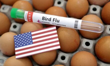 US CDC confirms H5N1 bird flu in a child in California