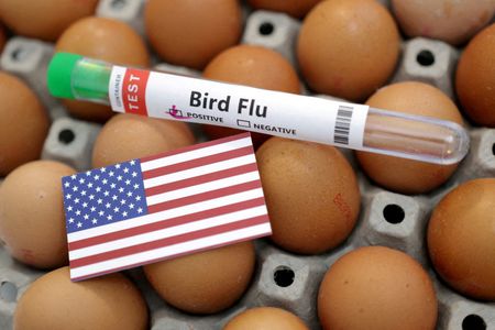 US CDC confirms H5N1 bird flu in a child in California