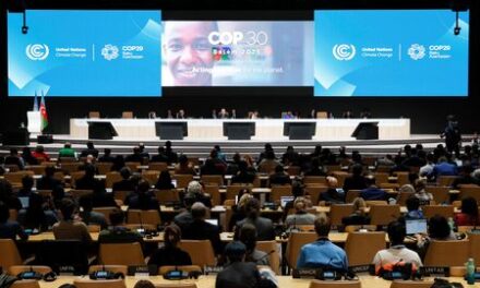 COP29 climate summit in overtime, what are countries saying?