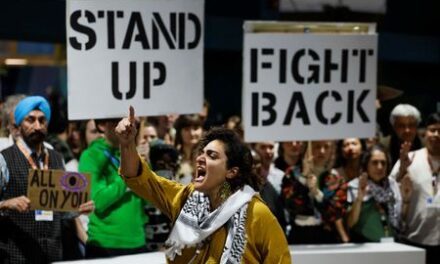 COP29 agrees deal to kick-start global carbon credit trading