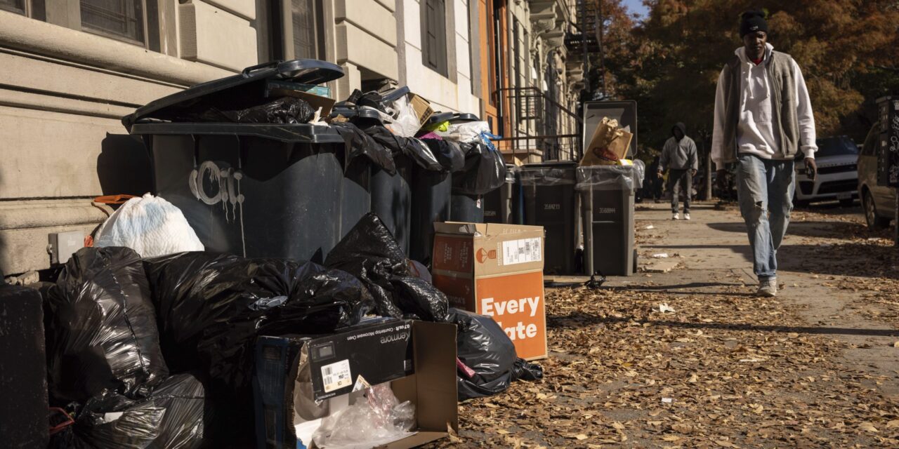 Rats feast on New York’s City’s bagged garbage. Can putting it in bins end the smorgasbord?