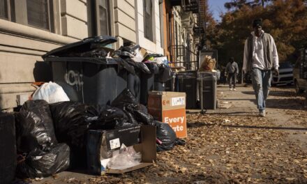 Rats feast on New York’s City’s bagged garbage. Can putting it in bins end the smorgasbord?