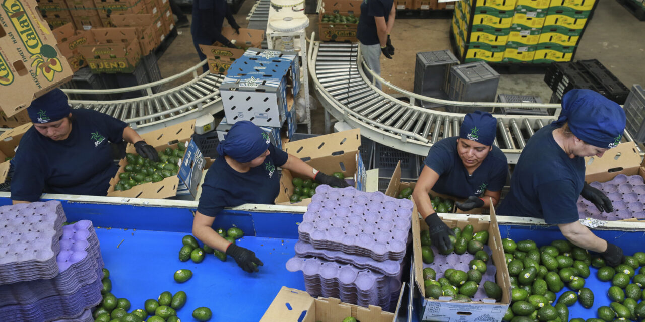 Avocados, tequila and other iconic Mexican products are jeopardized by Trump’s tariff threats