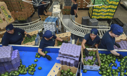 Avocados, tequila and other iconic Mexican products are jeopardized by Trump’s tariff threats