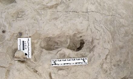 Fossil footprints in Kenya show two ancient human species coexisted