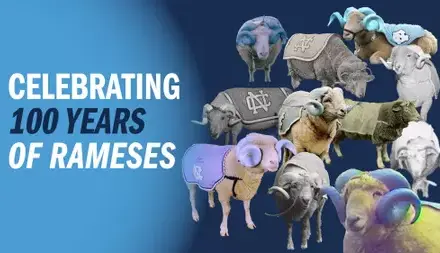 Celebrating 100 Years Of Rameses