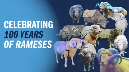 Celebrating 100 Years Of Rameses