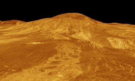 Did Venus ever have oceans? Scientists have an answer