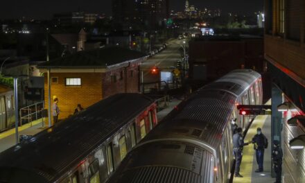 New York City police working to ID woman set ablaze in subway and ‘person of interest’ in her death