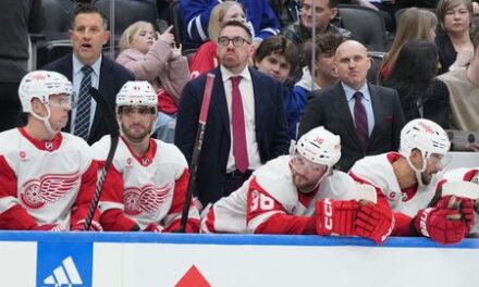 Red Wings fire Derek Lalonde, hire Todd McLellan