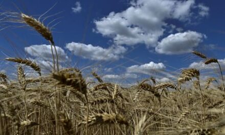 Ukraine sends food aid to Syria, says Zelenskiy