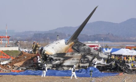 What we know about the deadly passenger jet crash in South Korea