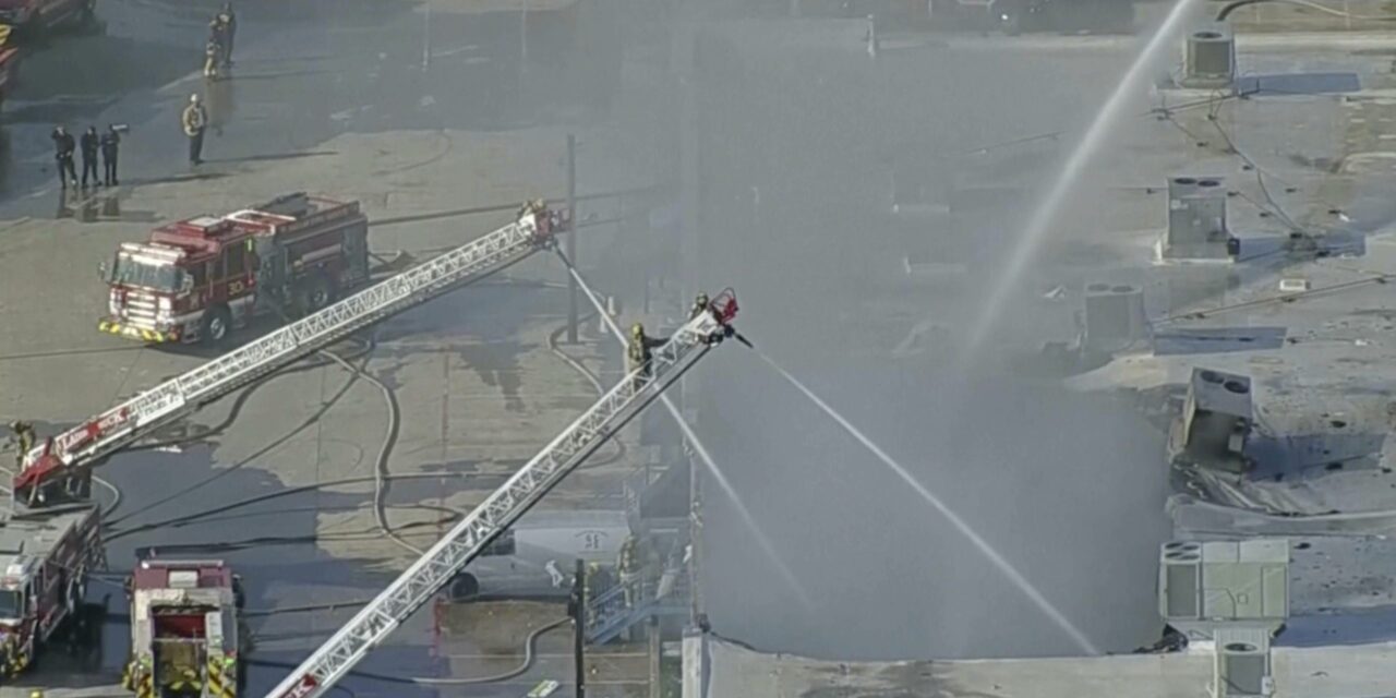 Hundreds of animals killed in Dallas shopping center fire