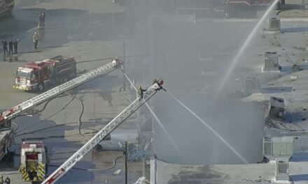 Hundreds of animals killed in Dallas shopping center fire