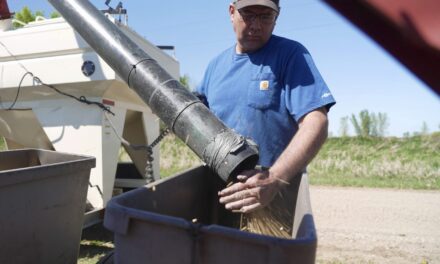 Farmers weigh Trump’s trade war like they watch the weather, waiting to see how things go