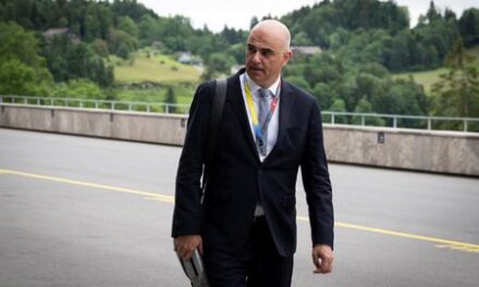 Council of Europe chief criticises push to ease expulsion of foreign criminals