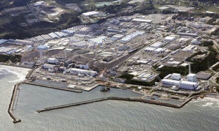 Japan to use slightly radioactive soil from Fukushima on flowerbeds at prime minister’s office