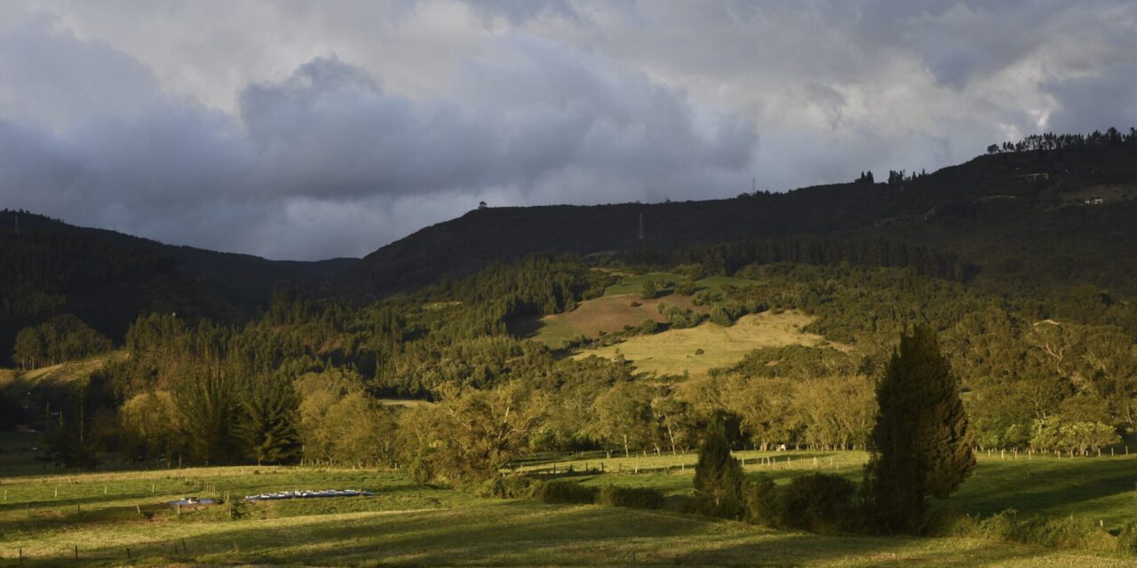 Ancient DNA reveals a new group of people who lived near land bridge between the Americas