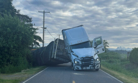 Millions of honeybees abuzz after truck overturns in Washington state