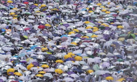 Saudi Arabia stops 269,678 Muslims without Hajj permits from entering Mecca