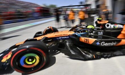 Motor racing-Norris fastest in final practice as Piastri hits the wall