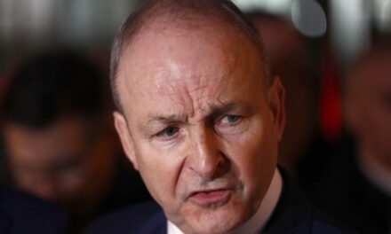 Works begin in Ireland to exhume remains of hundreds of babies found at unwed mothers’ home