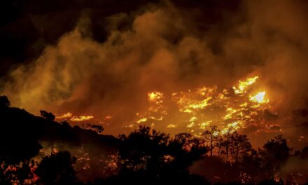 Hotels and homes evacuated on Greek island of Crete as wildfire burns out of control