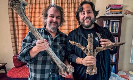 ‘Lord of the Rings’ director backs long shot de-extinction plan, starring New Zealand’s lost moa