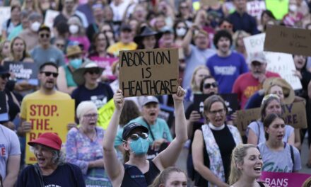 Judge rejects a challenge to Michigan’s decades-long ban on publicly funded abortions